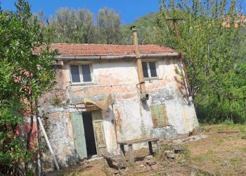 bavari2.jpg - Appartamento Via Villa 19, Genova (zona Bavari) - foto 2