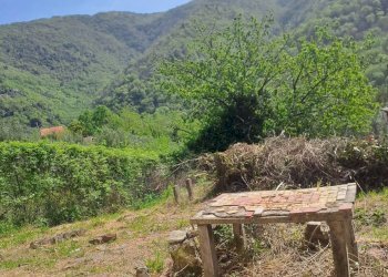 bavari4.jpg - Appartamento Via Villa 19, Genova (zona Bavari) - foto 8