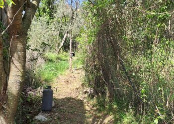 bavari12.jpg - Appartamento Via Villa 19, Genova (zona Bavari) - foto 11