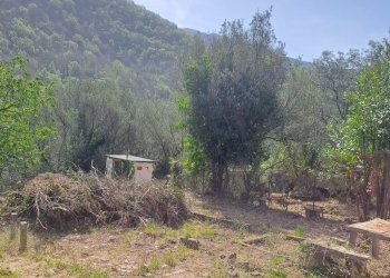 bavari15.jpg - Appartamento Via Villa 19, Genova (zona Bavari) - foto 12