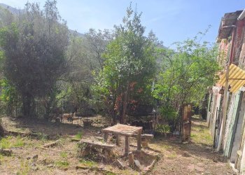 bavari14.jpg - Appartamento Via Villa 19, Genova (zona Bavari) - foto 14