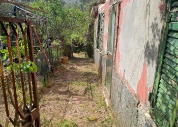 bavari17.jpg - Appartamento Via Villa 19, Genova (zona Bavari) - foto 15