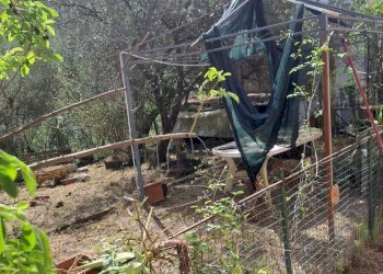 bavari18.jpg - Appartamento Via Villa 19, Genova (zona Bavari) - foto 16