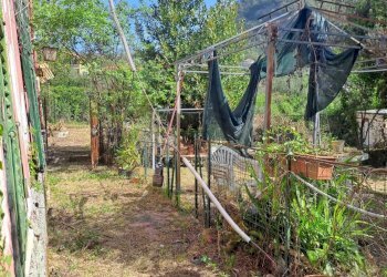 bavari19.jpg - Appartamento Via Villa 19, Genova (zona Bavari) - foto 22