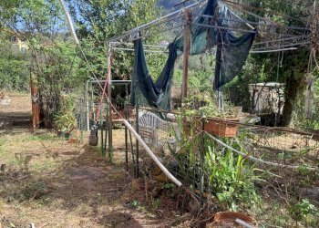 bavari20.jpg - Appartamento Via Villa 19, Genova (zona Bavari) - foto 23