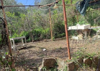 bavari22.jpg - Appartamento Via Villa 19, Genova (zona Bavari) - foto 24