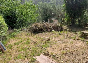 bavari27.jpg - Appartamento Via Villa 19, Genova (zona Bavari) - foto 26