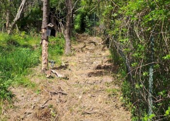 bavari29.jpg - Appartamento Via Villa 19, Genova (zona Bavari) - foto 28