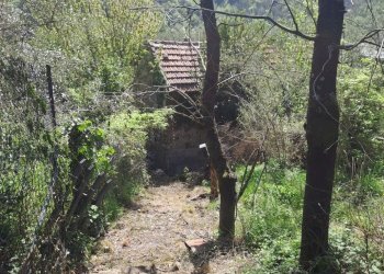 bavari30.jpg - Appartamento Via Villa 19, Genova (zona Bavari) - foto 29