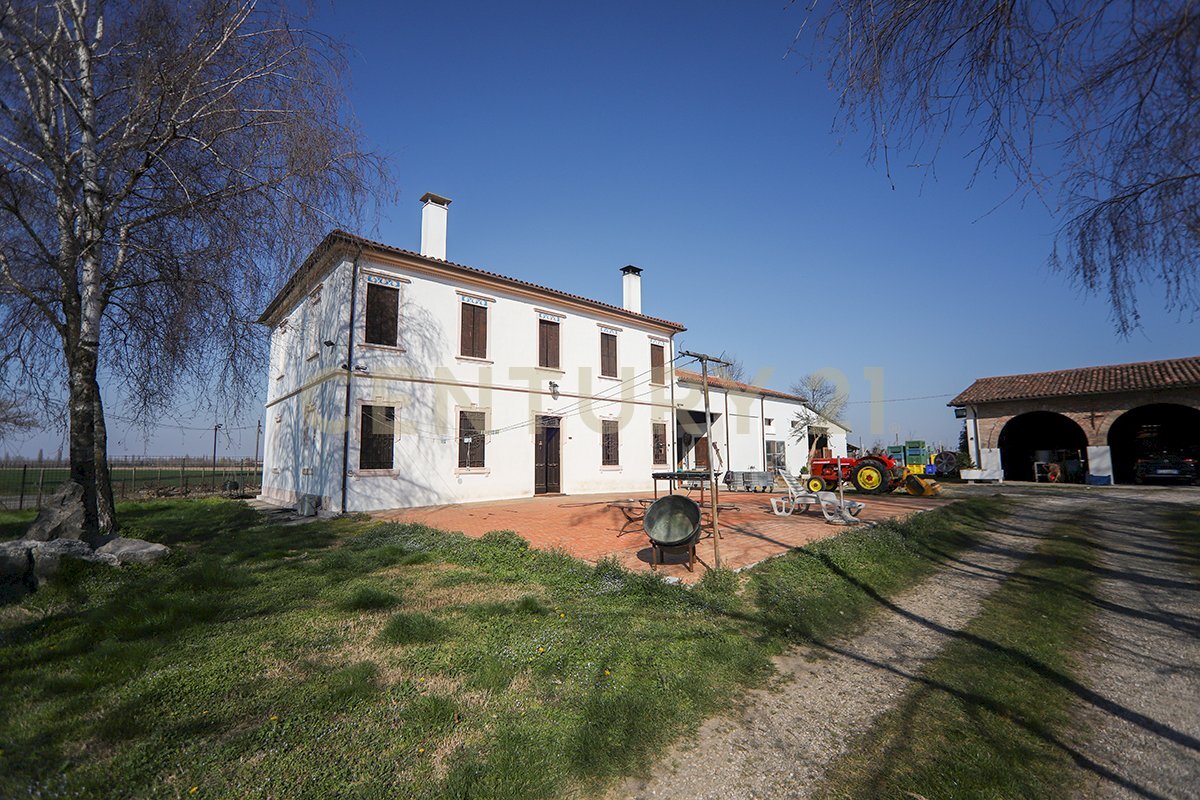 esterno (11).JPG - Casale Via Trento 70, Minerbe - photo 1