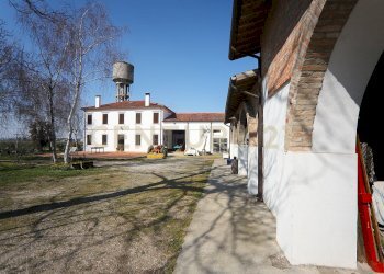 esterno (3).JPG - Casale Via Trento 70, Minerbe - photo 11