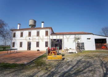 esterno (4).JPG - Casale Via Trento 70, Minerbe - photo 13