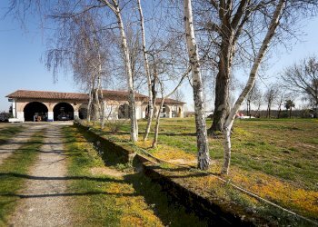 esterno (10).JPG - Casale Via Trento 70, Minerbe - photo 18