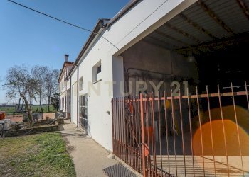esterno (14).JPG - Casale Via Trento 70, Minerbe - photo 24