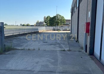 piazzale esterno 5 - Locale Commerciale Via Caduti sul Lavoro 23, Isola della Scala - foto 11