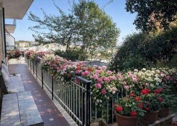 0ECA6D99-1C6F-489A-B1E2-A42EC95C412E.png - Apartment Via Vittorio Veneto, Ancona - photo 5