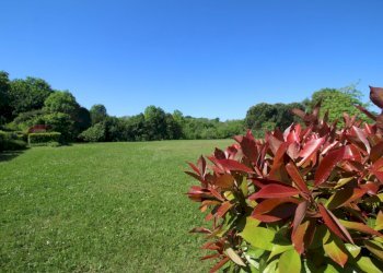 IMG_0009.JPG - Villa a Schiera Via Somaini 3, San Fermo della Battaglia - foto 15