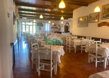 PHOTO-2026-04-07-13-26-35.jpg - Stable - Palace Via Antonio Seppilli, Ravenna - photo 6