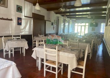 PHOTO-2026-04-07-13-26-36 2.jpg - Stable - Palace Via Antonio Seppilli, Ravenna - photo 7