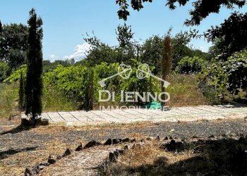 Villa Strada Valle del Dragone, Oriolo Romano - foto 36