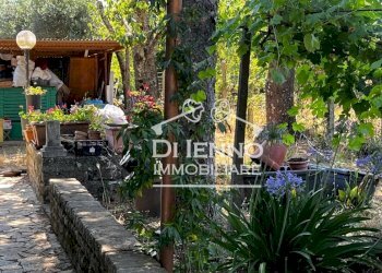 Villa Strada Valle del Dragone, Oriolo Romano - foto 40