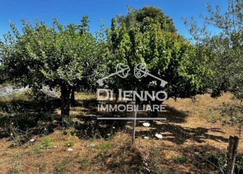 Villa Strada Valle del Dragone, Oriolo Romano - foto 44