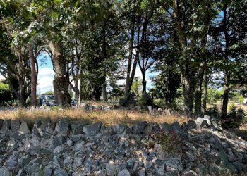 Villa Strada Valle del Dragone, Oriolo Romano - foto 49