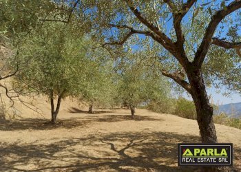 Dimora Storica Contrada Angeli Frontè, Agira - foto 13