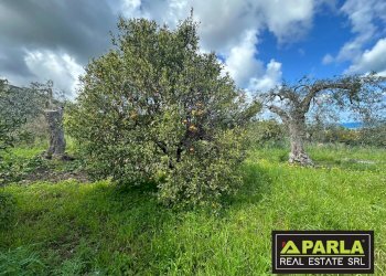 Villa Via Landro, Lascari - foto 12