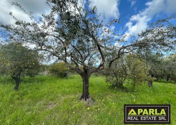 Villa Via Landro, Lascari - foto 16