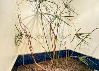 Villa Avola - photo 26