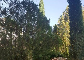 Villa Misilmeri, Misilmeri - foto 24