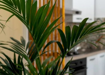 Apartment Piazza Armerina, Piazza Armerina - photo 54