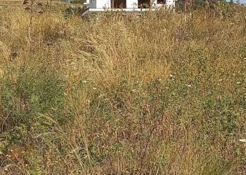 Appartamento Messina, Messina - foto 15