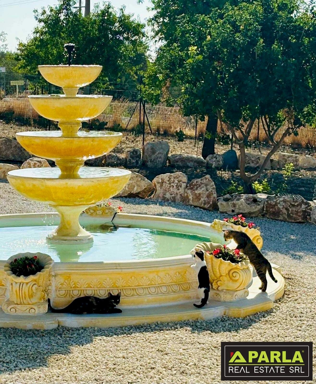 Villa Noto, Avola - foto 2