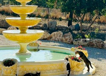 Villa Noto, Avola - foto 2