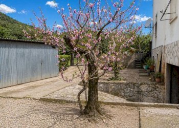Villa strada di Mazzelvetta, Terni - foto 3