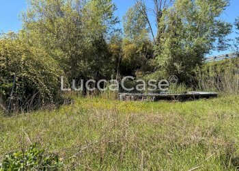 Villa Capannori - photo 49