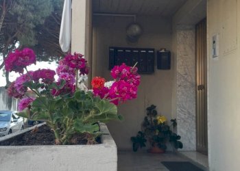 Apartment Livorno - photo 2