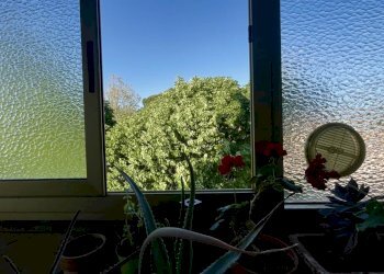 Apartment Livorno - photo 16