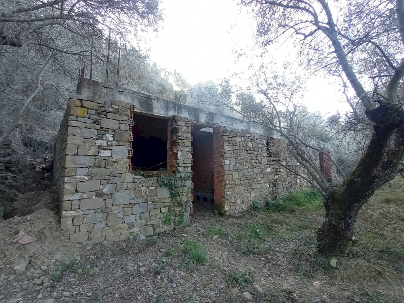 Rustico Localita vagli, Dolceacqua - foto 2
