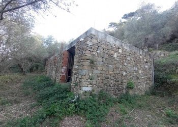 Rustico Localita vagli, Dolceacqua - foto 3
