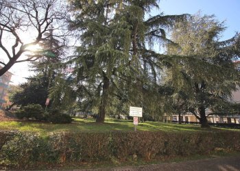 Ufficio Via Corsica, 14 
 Zona Ring Sud/Ovest, Brescia - foto 3