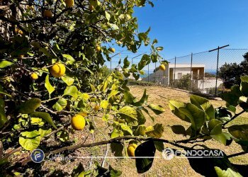 Foto 27 - Appartamento Via Pian Dei Rossi, Bergeggi - foto 27