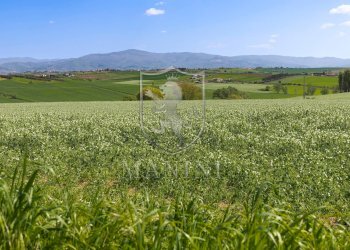 Foto 42 - Rustico strda provinciale
 
190, Cortona - foto 42