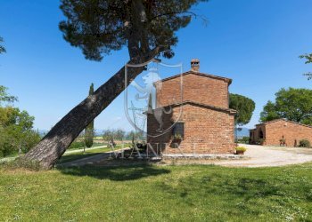 Foto 43 - Rustico strda provinciale
 
190, Cortona - foto 43