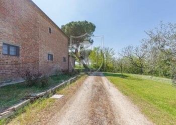 Foto 45 - Rustico strda provinciale
 
190, Cortona - foto 45