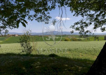Foto 48 - Rustico strda provinciale
 
190, Cortona - foto 48