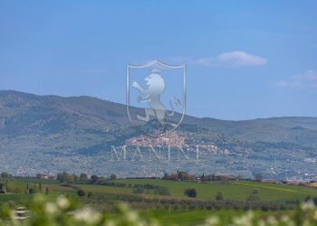 Foto 54 - Rustico strda provinciale
 
190, Cortona - foto 54