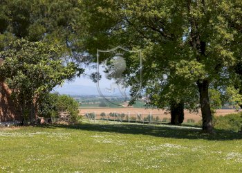 Foto 56 - Rustico strda provinciale
 
190, Cortona - foto 56